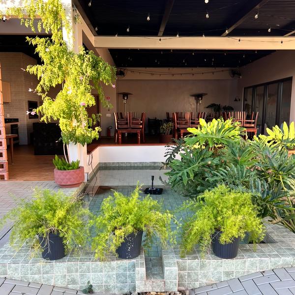 Espelho d'água com plantas em frente ao salão do Festou