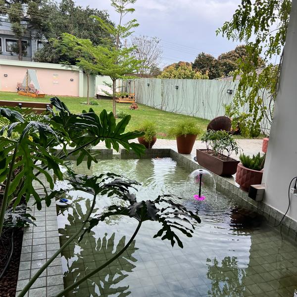 Espelho d'água e folhagens no jardim do Festou