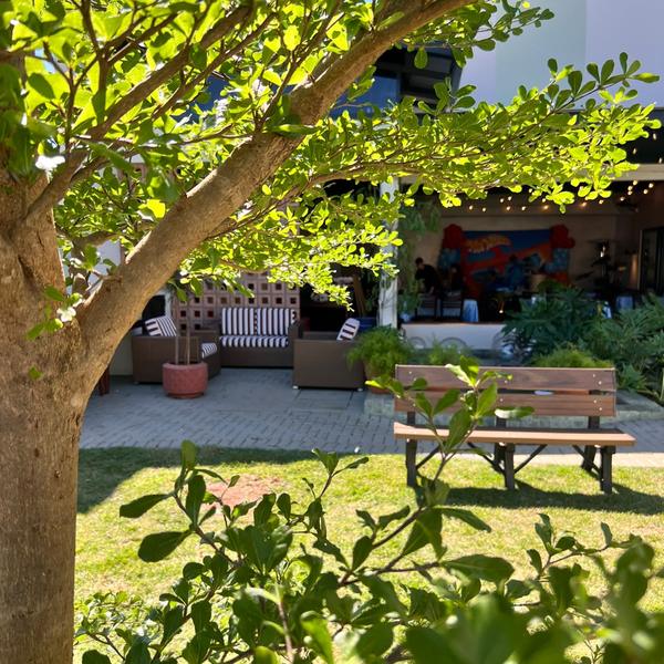 Festa no jardim do Festou vista sob a árvore